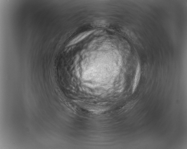 X0000082941201200702152205