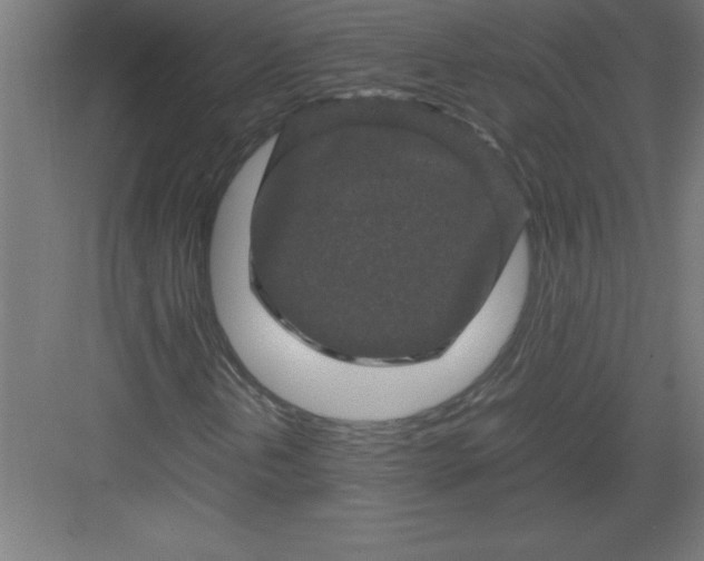 X0000082941202200702152205