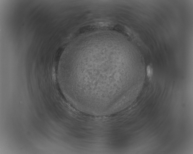 X0000082941203200702152205