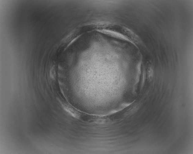 X0000082941204200702152205