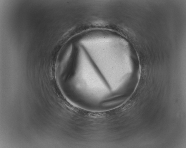 X0000082941205200702152205