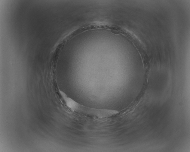 X0000082941207200702152205