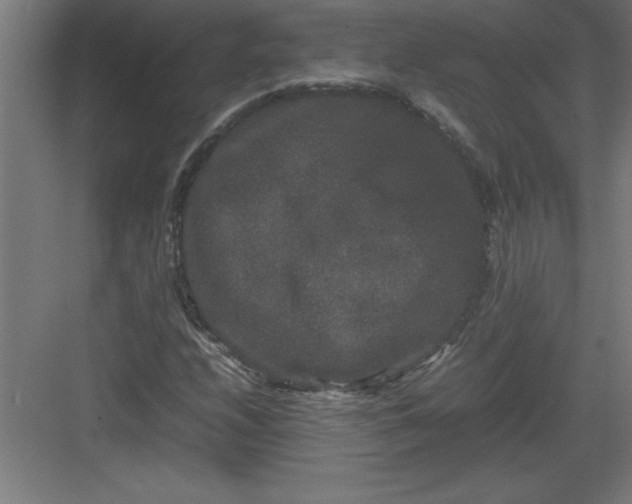 X0000082941208200702152205