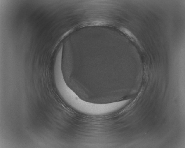 X0000082941210200702152205