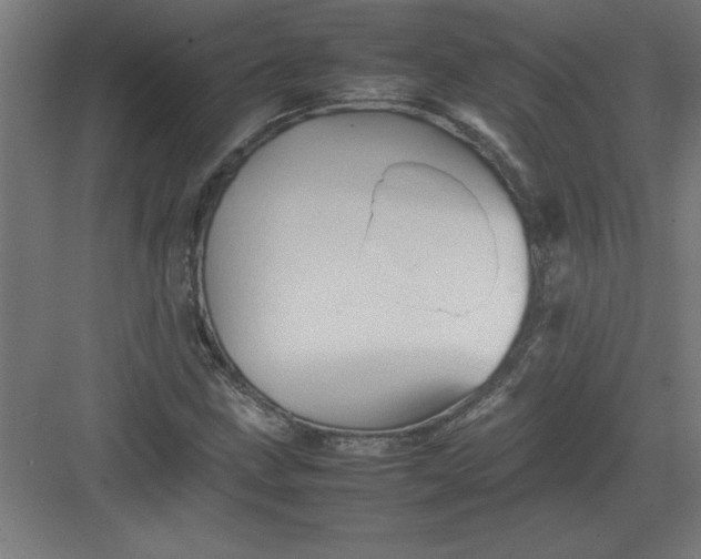 X0000082941211200702152205