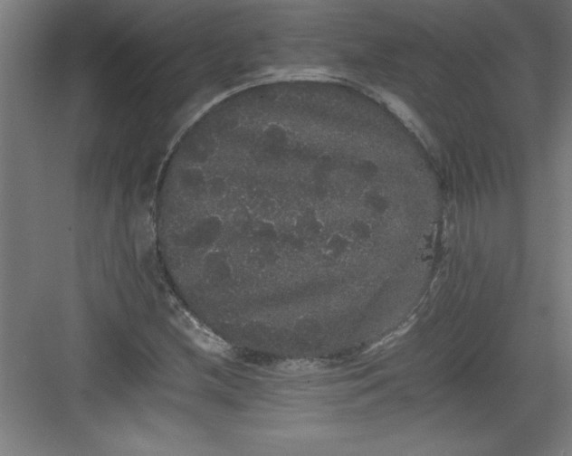 X0000082941212200702152205