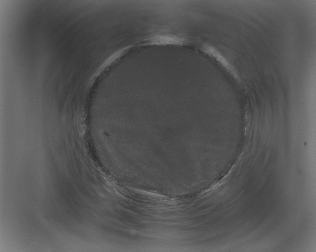 X0000082941213200702152205