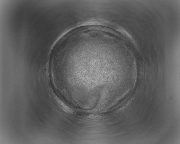 X0000082941216200702152205