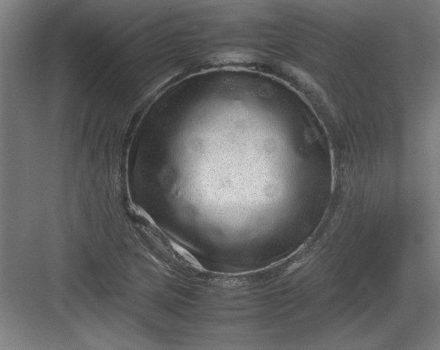 X0000082941217200702152205