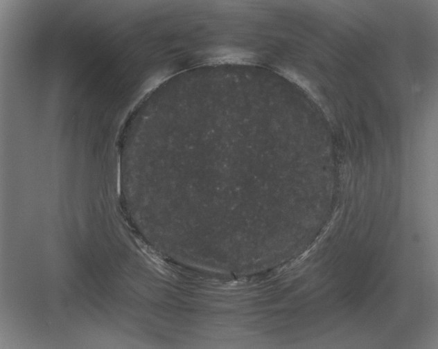 X0000082941219200702152205