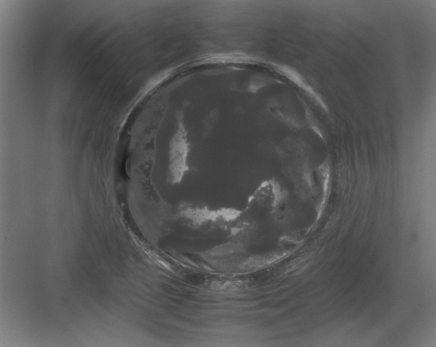 X0000082941221200702152205