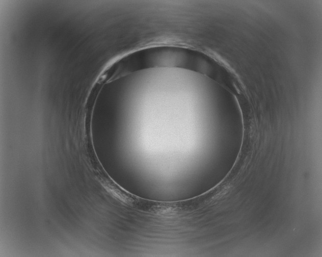 X0000082941222200702152205