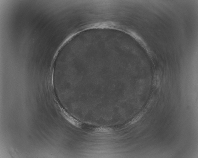 X0000082941224200702152205