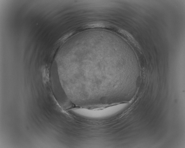 X0000082941225200702152205