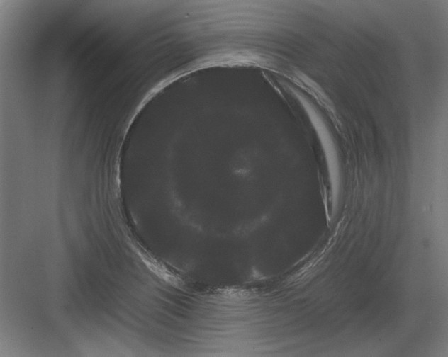 X0000082941226200702152205