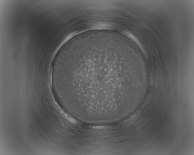 X0000082941227200702152205