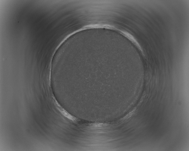 X0000082941228200702152205