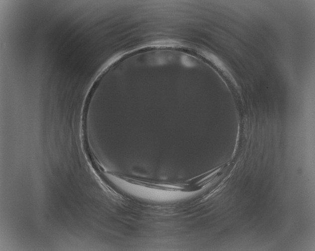 X0000082941229200702152205