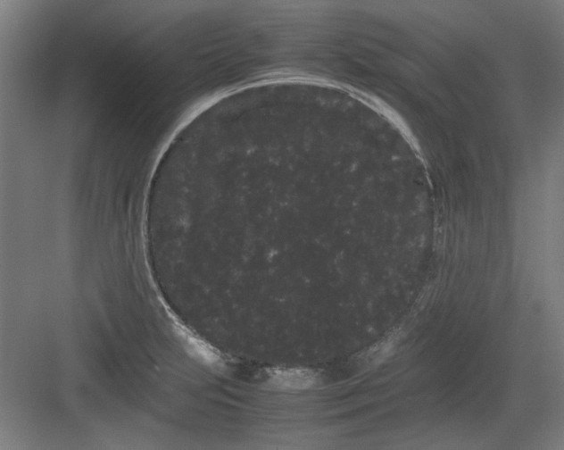 X0000082941231200702152205