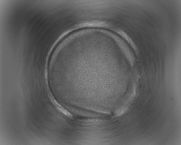 X0000082941232200702152205