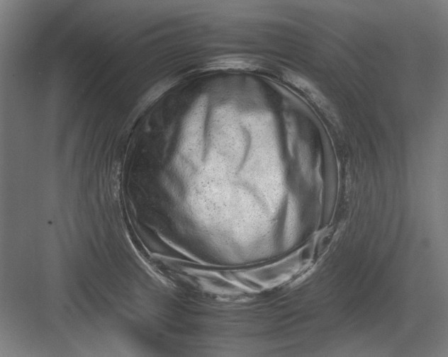 X0000082941233200702152205