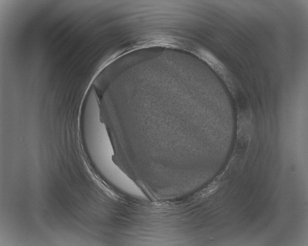 X0000082941234200702152205