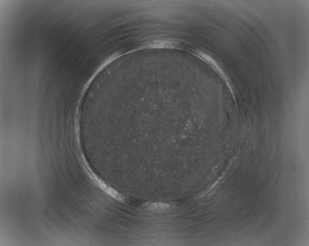 X0000082941235200702152205