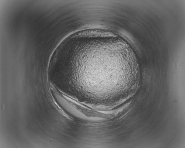 X0000082941236200702152205