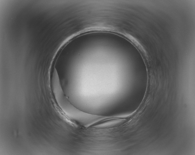 X0000082941238200702152205