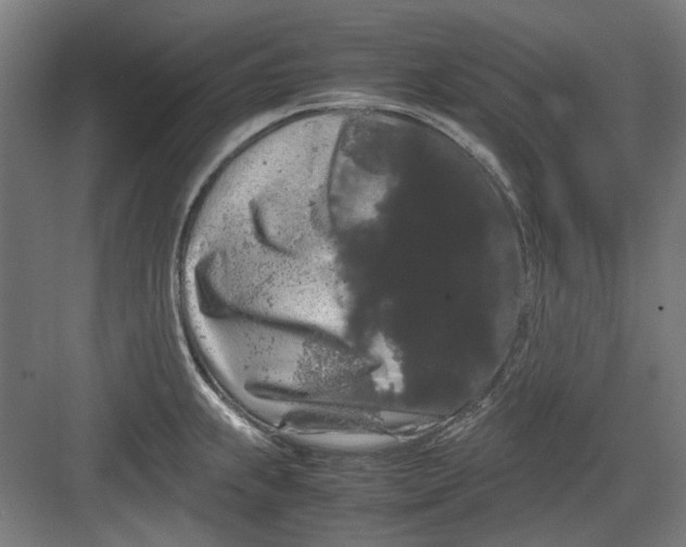 X0000082941239200702152205