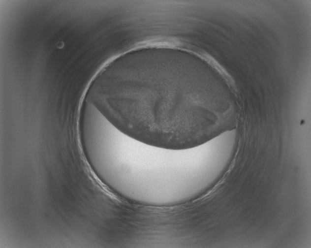 X0000082941240200702152205