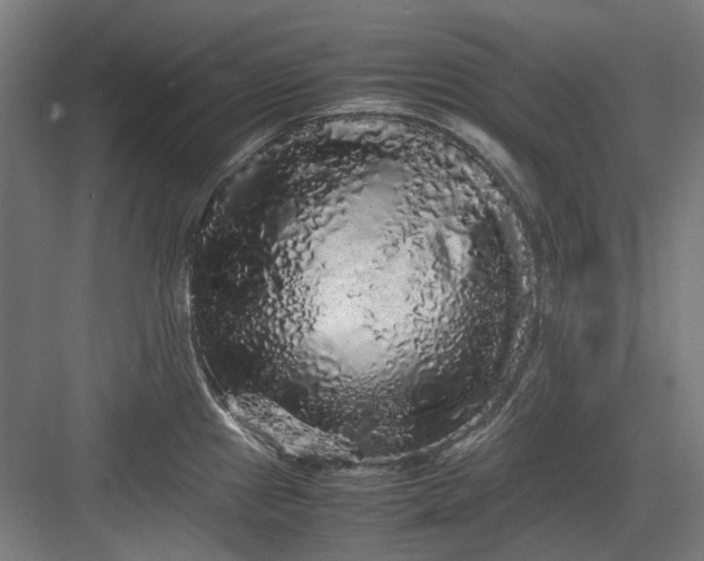 X0000082941241200702152205