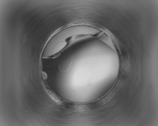 X0000082941242200702152206