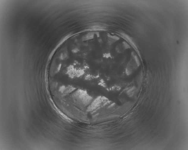 X0000082941243200702152206