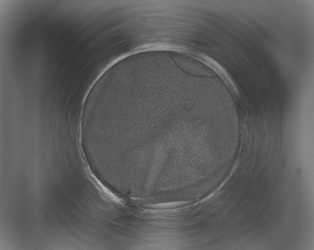 X0000082941244200702152206