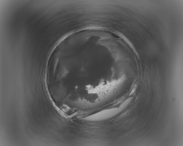 X0000082941245200702152206