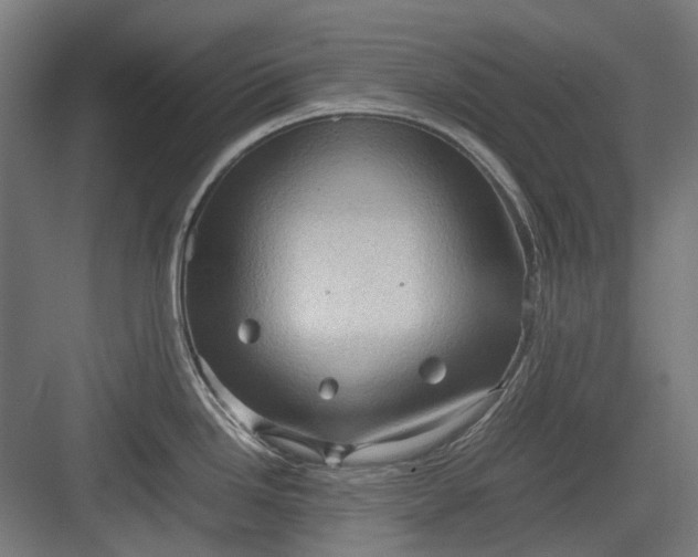 X0000082941246200702152206