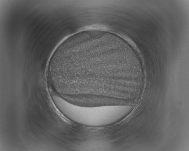 X0000082941248200702152206