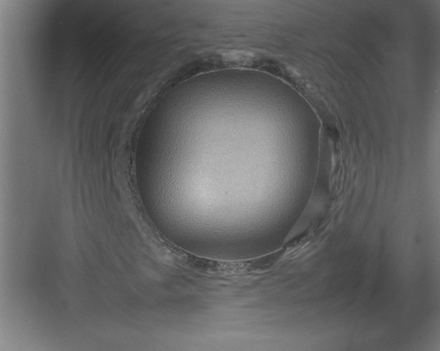 X0000082941249200702152205