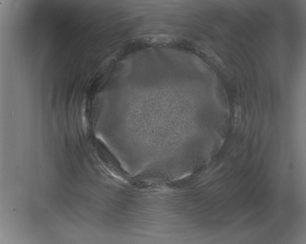 X0000082941250200702152205