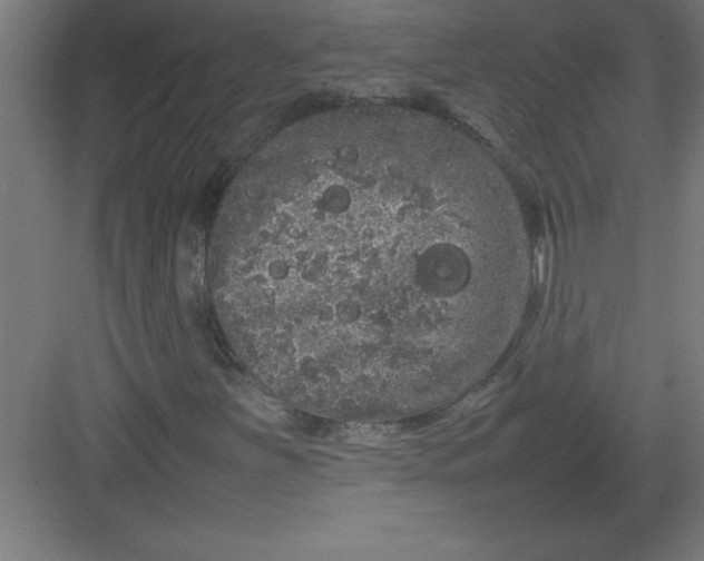 X0000082941251200702152205