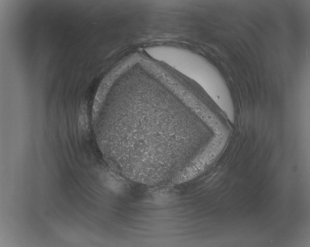 X0000082941252200702152205