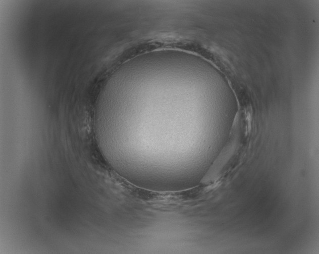 X0000082941253200702152205