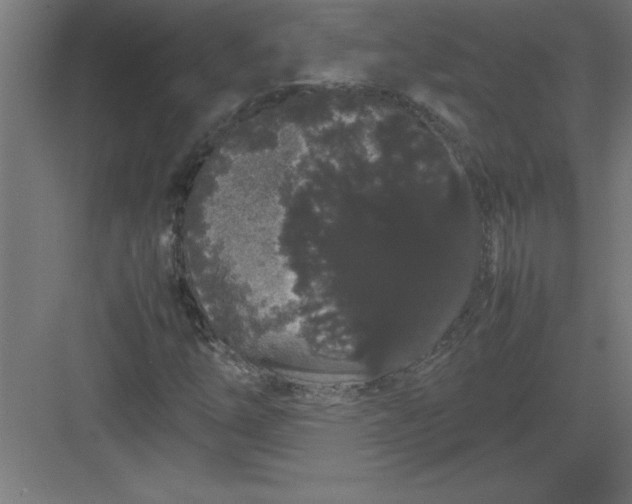 X0000082941254200702152205