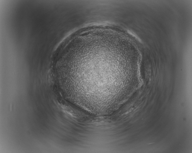 X0000082941256200702152205