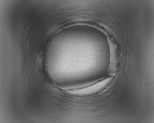 X0000082941257200702152205