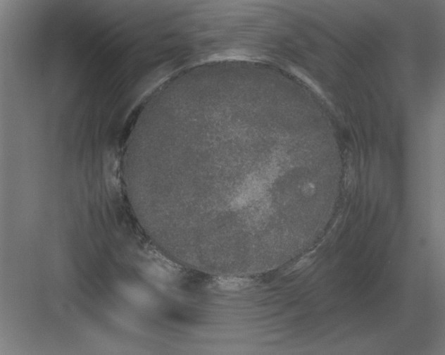 X0000082941258200702152205