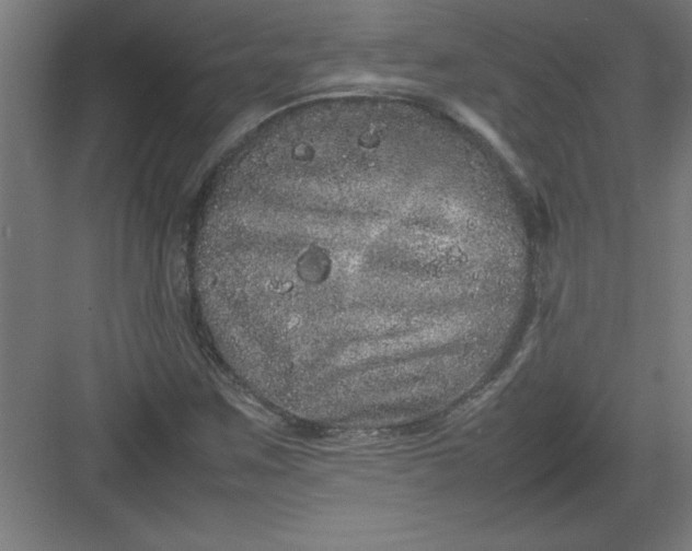 X0000082941259200702152205