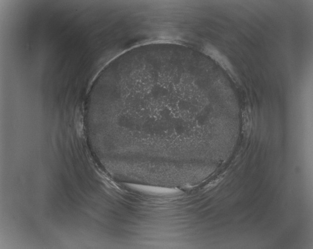 X0000082941260200702152205