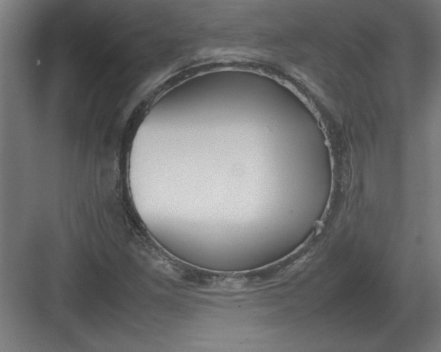 X0000082941261200702152205